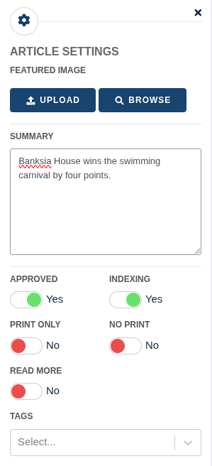 The Article Settings panel