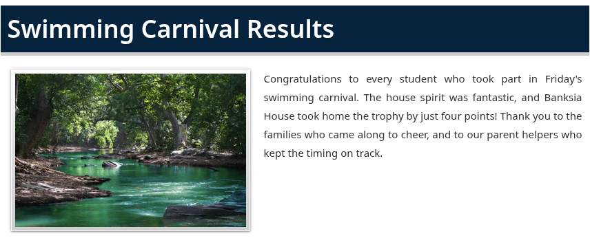 An Image Left article about the swimming carnival