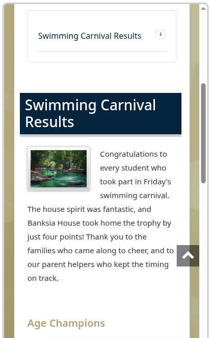 The newsletter previewed on a phone